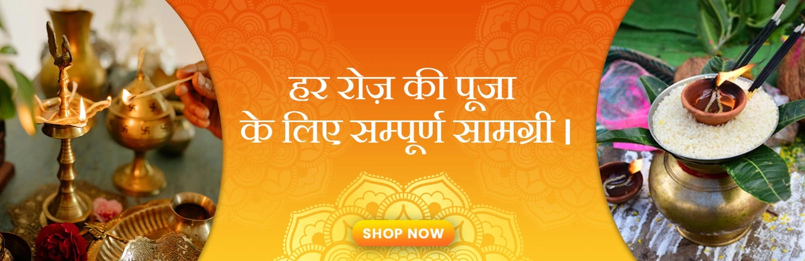 WhatsApp Image 2024-10-22 at 6.21.28 PM